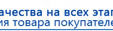 СКЭНАР-1-НТ (исполнение 01)  купить в Октябрьском, Аппараты Скэнар купить в Октябрьском, Скэнар официальный сайт - denasvertebra.ru